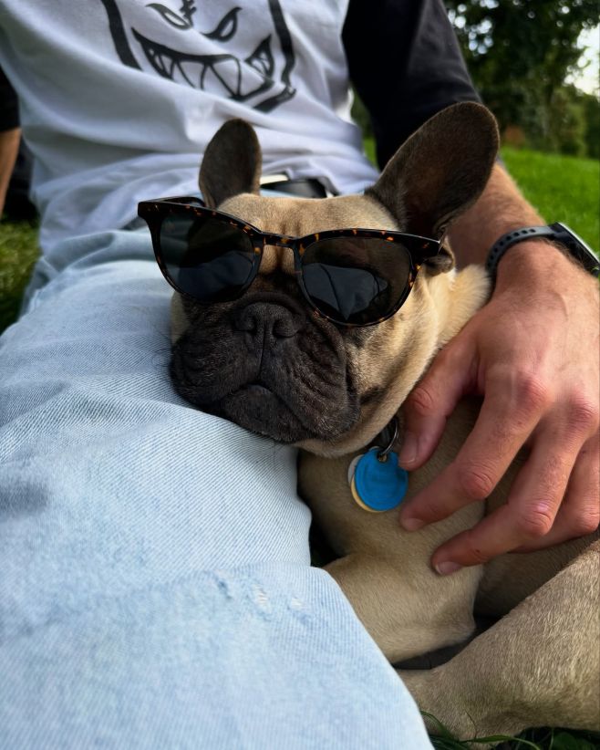 Styl je pro každého. I pro čtyřnohé kamarády. 😎 Na e-shopu probíhají až 40% slevy na sluneční a sportovní brýle 🔥 #neibo...